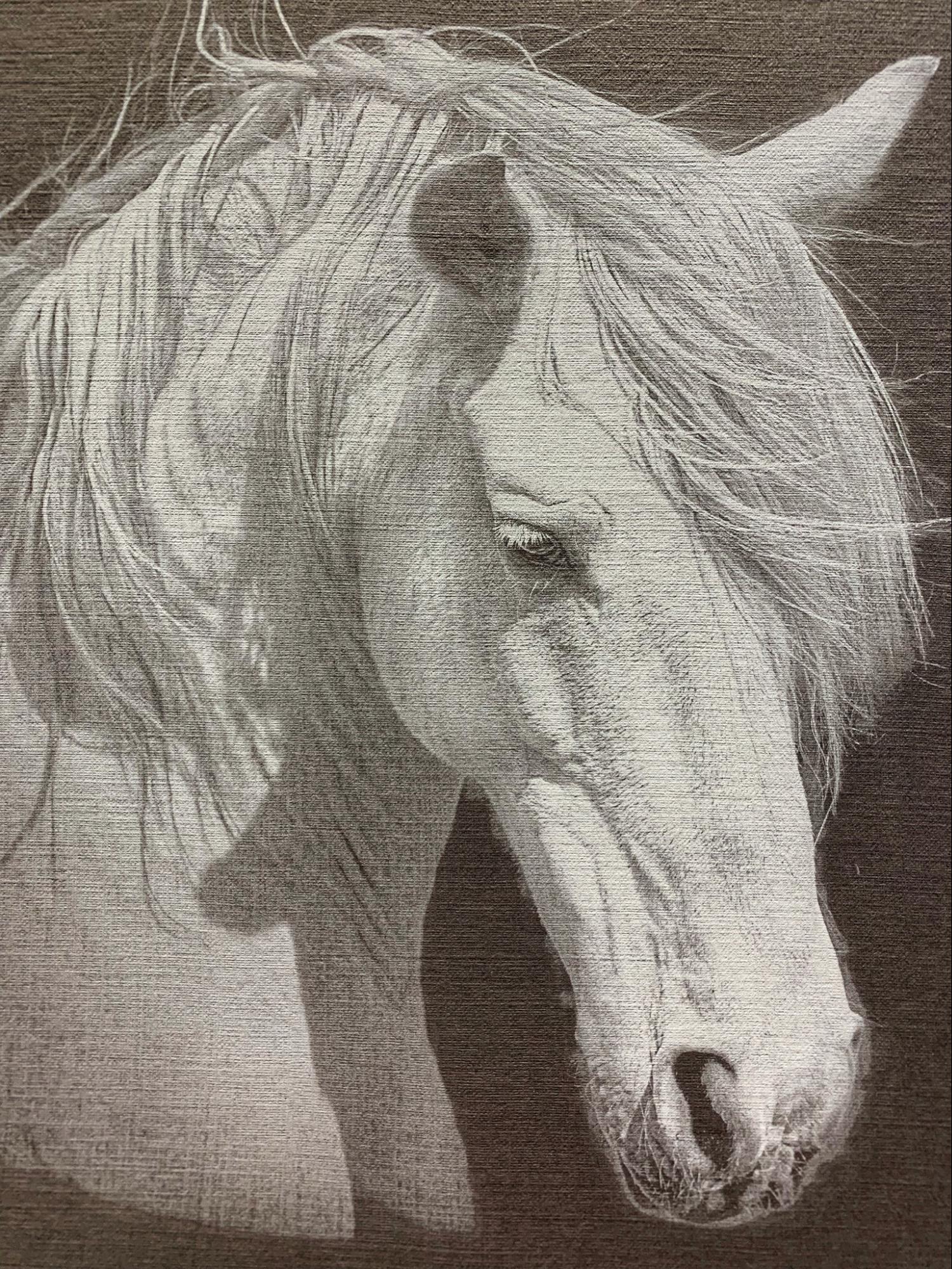 print out of horse using white ink